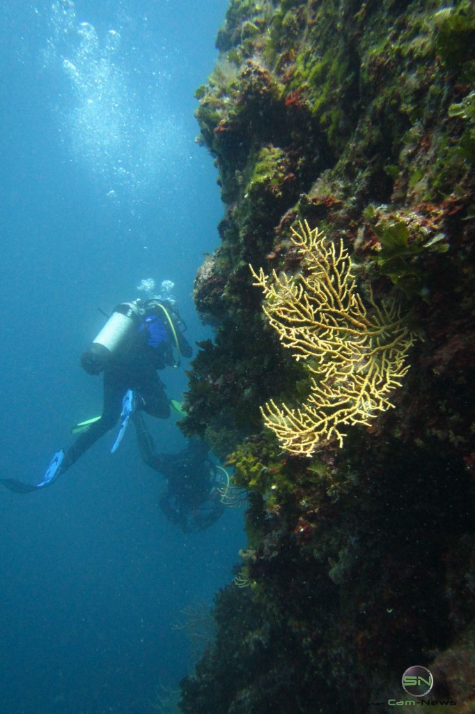 Steilwand Diving 22 Meter - Canon D30 - SmartCamNews